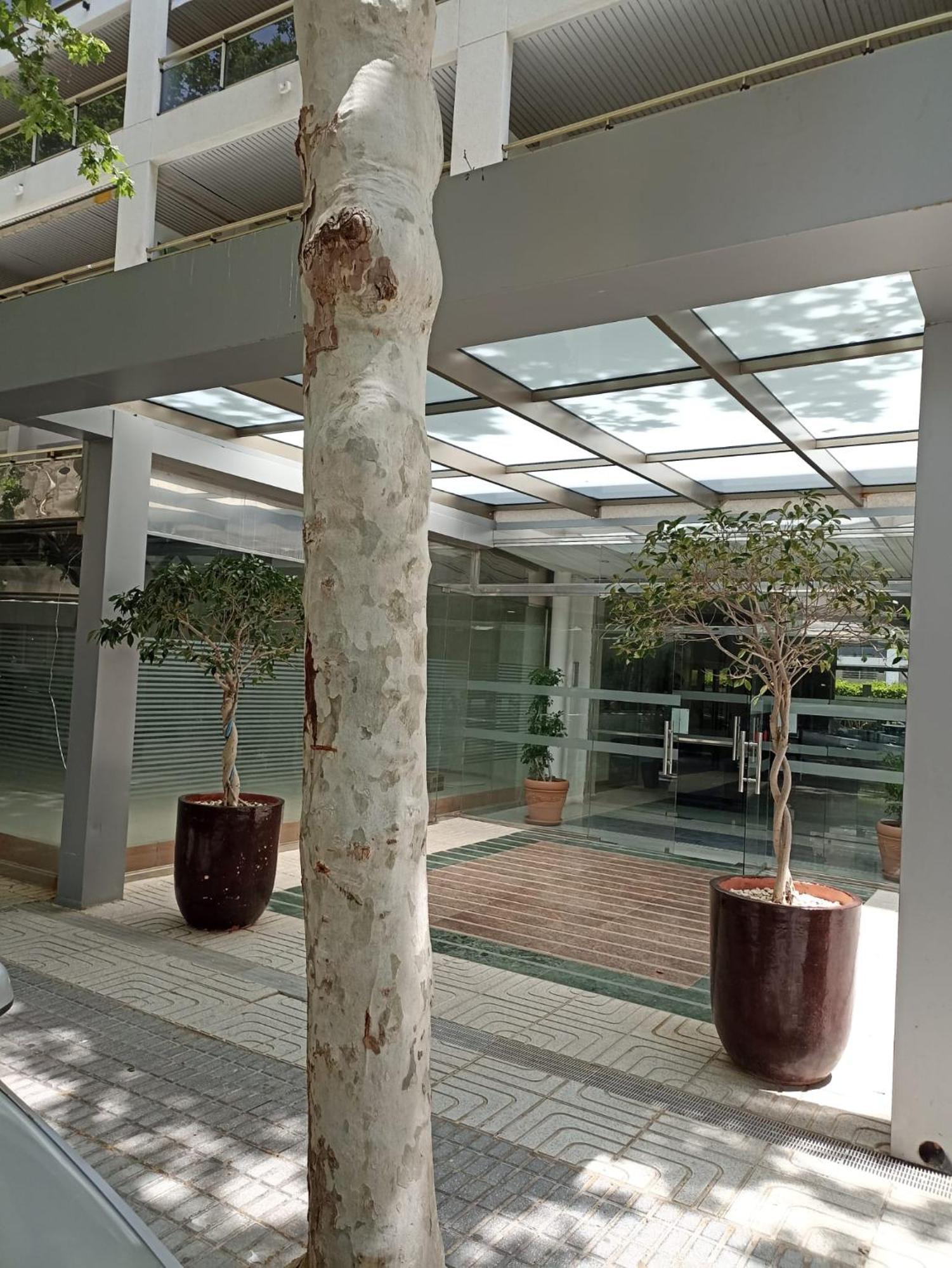 Appartamento Michelangelo Salou Esterno foto